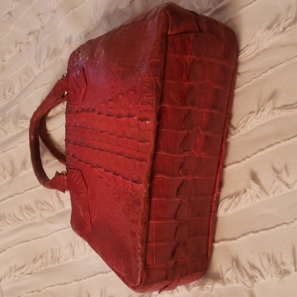 Alligator Purse View 3